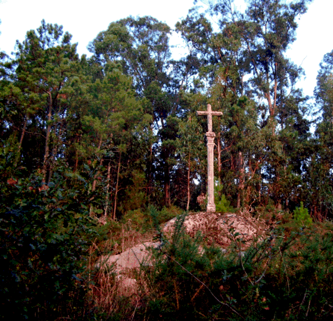 cruz do Agro