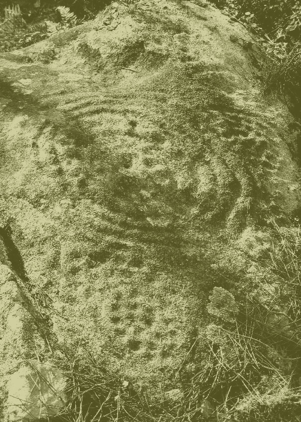 Petroglifos de Bouzabadín.